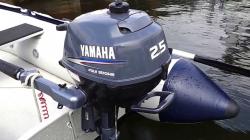 Yamaha F2.5A (2013)