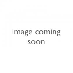 Gorenje RB60299OW